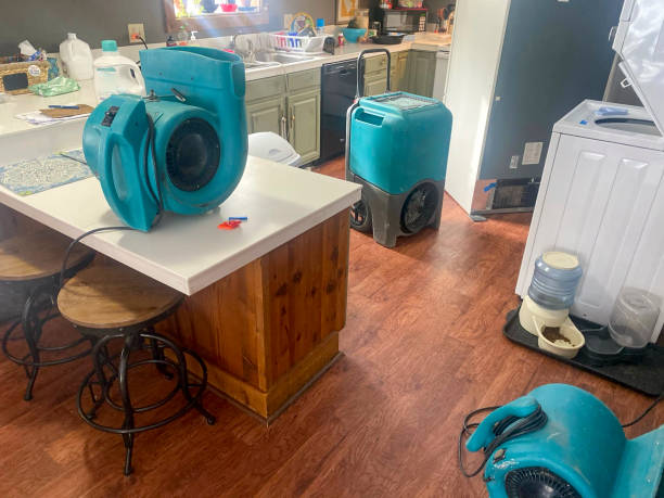 Reliable Tornado, WV Water damage restoration Solutions
