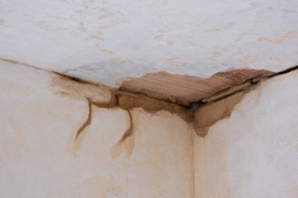 Best Local water damage restoration  in Tornado, WV