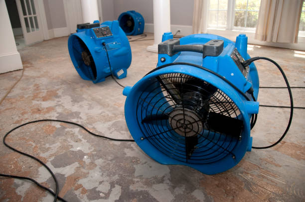 Best Water damage restoration near me  in Tornado, WV