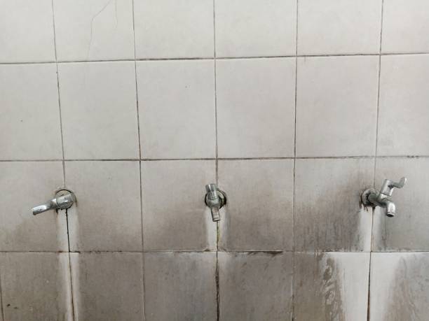 Best Water damage restoration company  in Tornado, WV