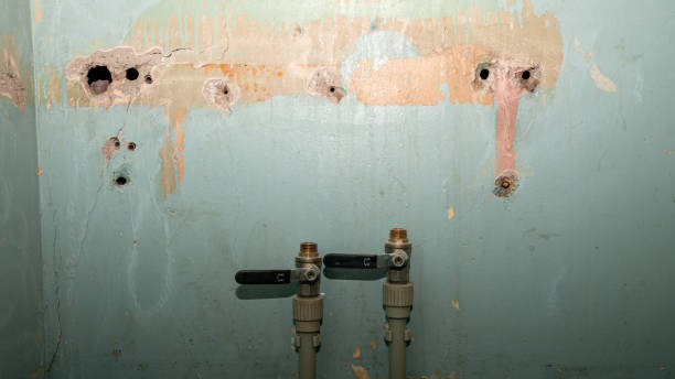 Best Sewage cleanup and water damage restoration  in Tornado, WV