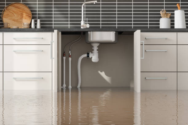 Best Water damage restoration near me  in Tornado, WV