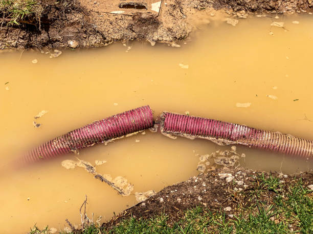 Best Basement water damage restoration  in Tornado, WV