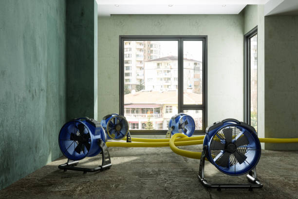 Best Residential water damage restoration  in Tornado, WV