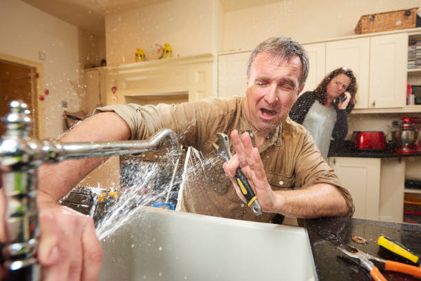 Best Mold removal after water damage  in Tornado, WV